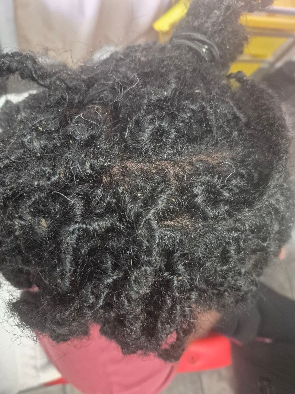 Locs Interlocking protective style - Tucson hair braiding by Milly's FAB