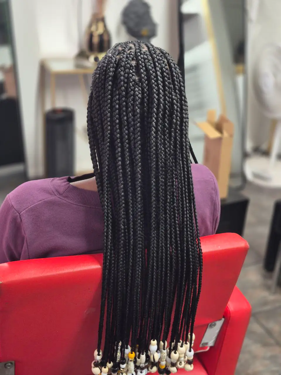 Cornrows & Back Box Braids - Style 2