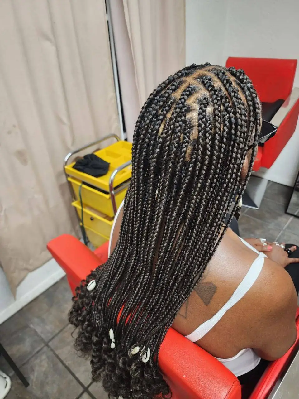 Regular Box Braids - Style 3