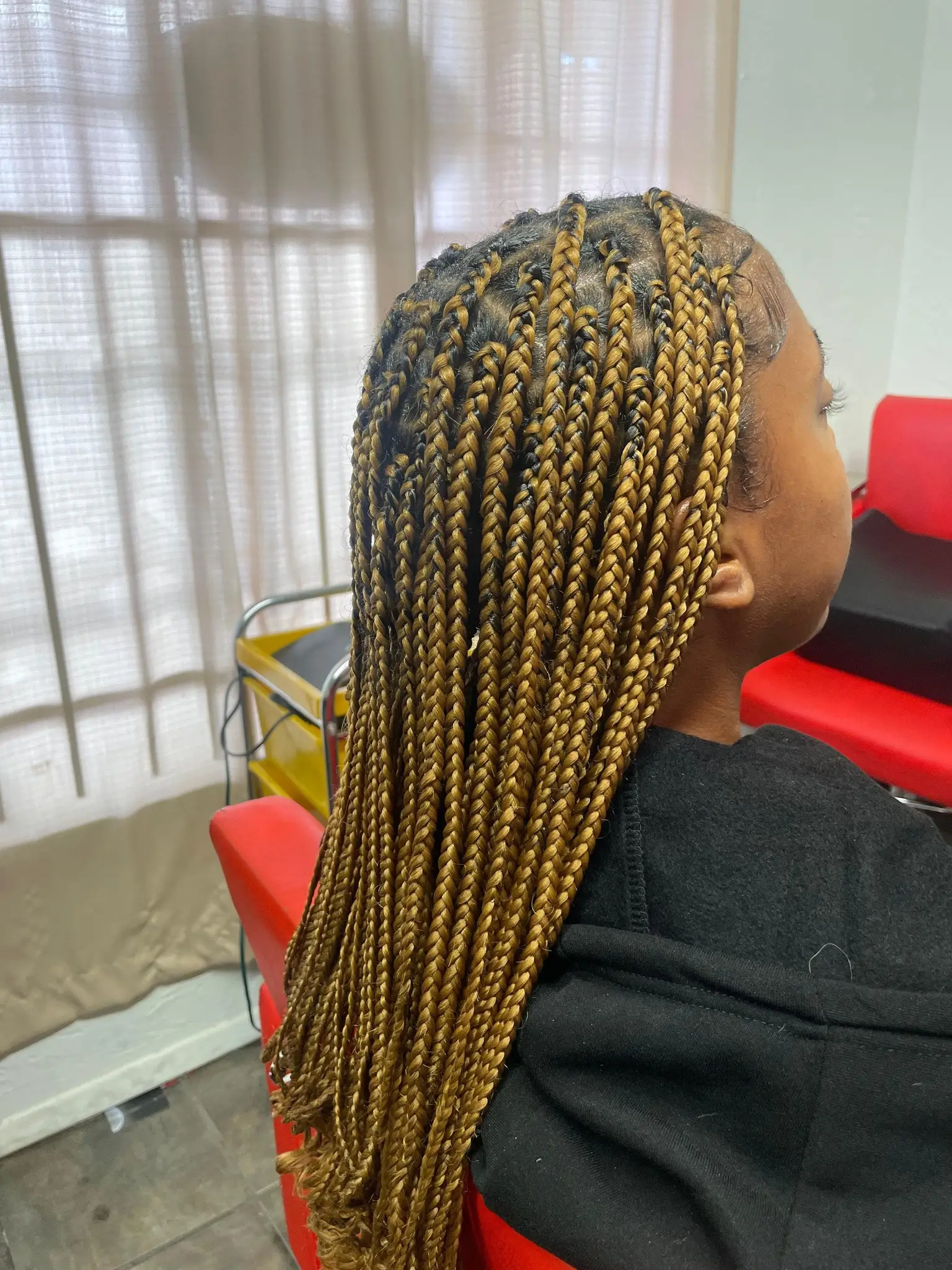 Regular Box Braids - Style 6