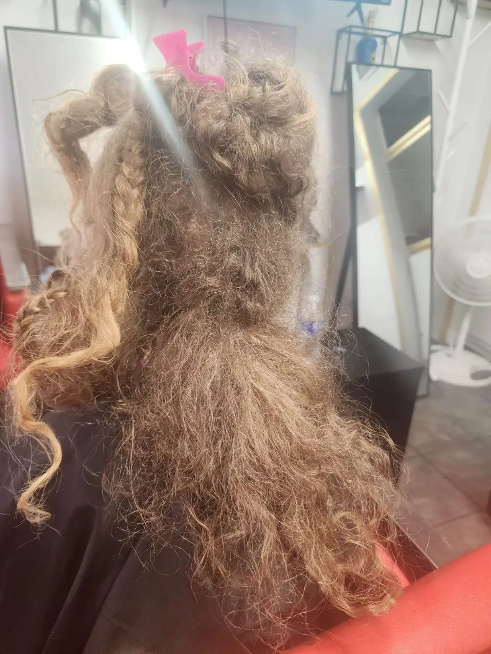 Hair Detangling - Image 1