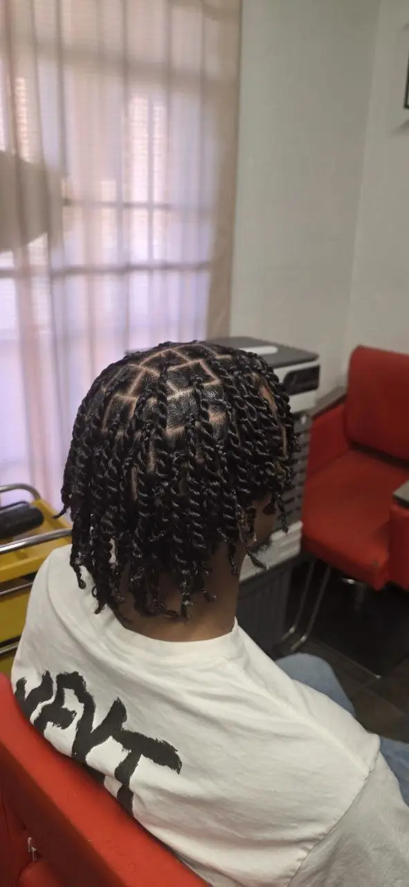 Two-Strand Twist - Image 2